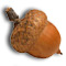 Acorn Music