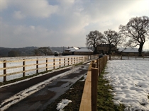 Post and Rail Fencing