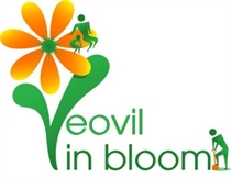 Yeovil Town Council